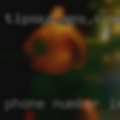 Phone number looking